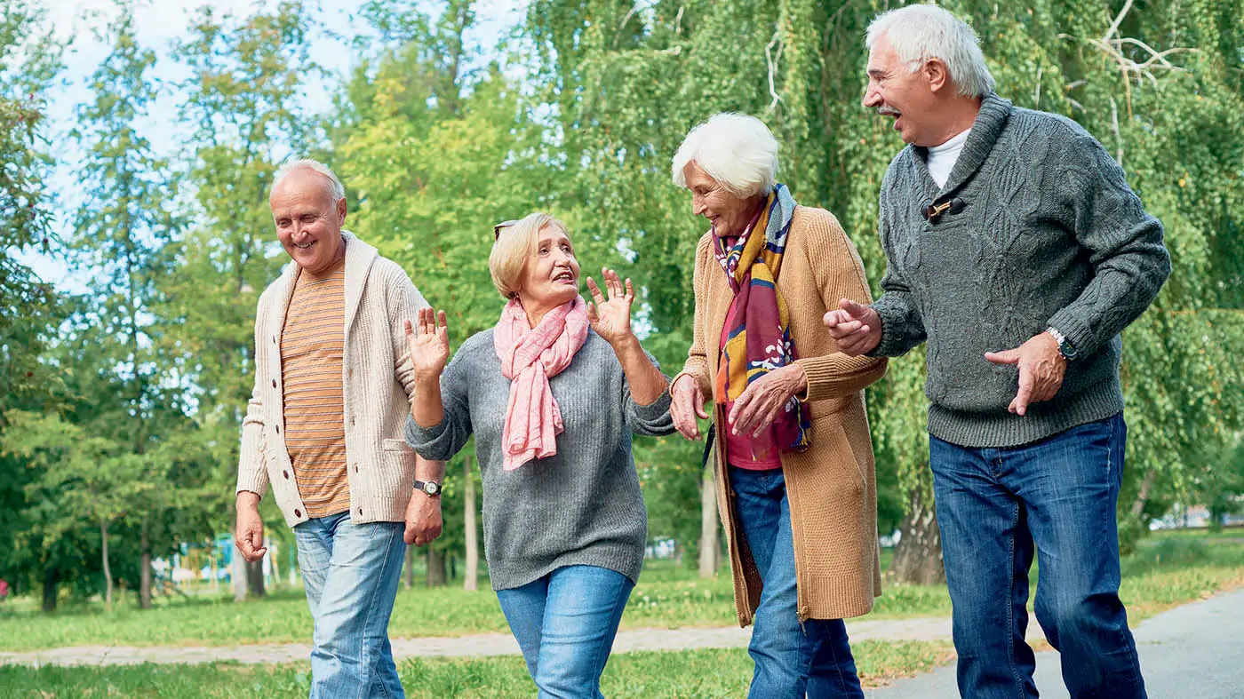 4 personnes âgées marchant et discutant en extérieur